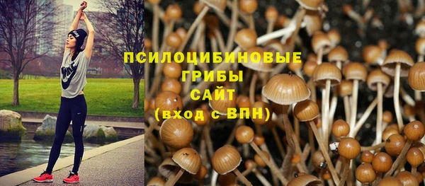 круглые Арсеньев