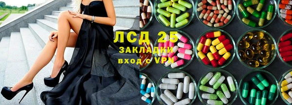 стафф Аркадак