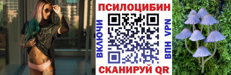 Галлюциногенные грибы Magic Shrooms  Куровское 